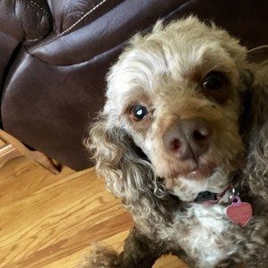 Meet your Posher, Joseph